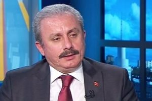 Şentop: Başkan yardımcılığı makamının mutlaka olması gerekir