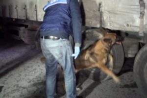 Uyuşturucu tacirleri ''Fırtına'ya yakalandı