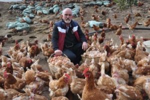 &Ccedil;iftliğe m&uuml;zik yayını yapıp yumurta verimini artırdı
