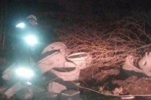 Dibinden kesilen &ccedil;ınar ağacı mahalleyi elektriksiz bıraktı