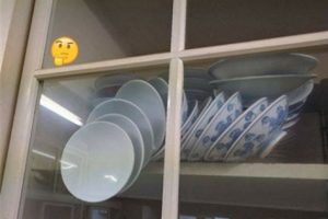 Sorduğu bu soruyla bir anda meşhur oldu