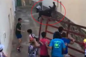 Boğanın art arda boynuzladığı adam &ouml;ld&uuml;