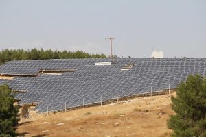 G&uuml;neş kuruyan tarlalara 'can suyu' oluyor