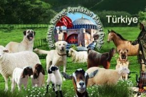 &Ccedil;obanlardan Cumhurbaşkanı'na Bursa daveti