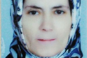 Bursa'da kaldırımda y&uuml;r&uuml;rken otomobilin &ccedil;arptığı kadın &ouml;ld&uuml;