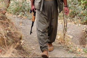 Batman'da keşif yapan PKK'lı yakalandı