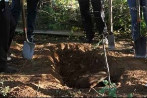 Meksika'da kuyularda 7 ceset bulundu
