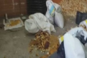 &Ccedil;&ouml;pten topladıkları ekmeklerden pasta yapıp sattılar