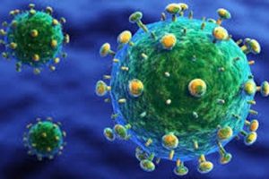 'H5N8' Almanya'da hızla yayılıyor