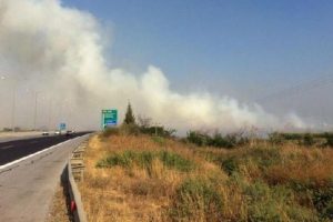 Adana yaz kış duman altında