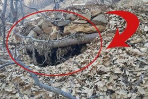 PKK'nın sığınak ve mevzileri yerle bir edildi