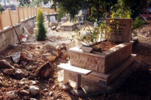 Kedi 'Arap'ın mezarı tahrip edildi