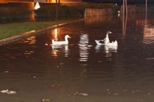 İzmir'de sağanak yağış hayatı fel&ccedil; etti