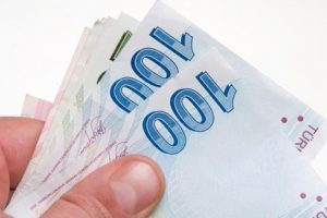 Kamu ihalelerine T&uuml;rk lirası zorunluluğu geldi
