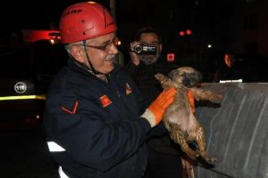 Bursa'da foseptiğe d&uuml;şen yavru k&ouml;peği itfaiye kurtardı