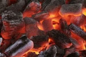 Karbonmonoksit gazından zehirlenen yaşlı &ccedil;ift &ouml;ld&uuml;