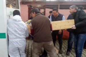 Bursa'da baltayla babasını ve k&ouml;peğini doğrayan sanığa ceza yok