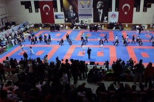 T&uuml;rkiye karate şampiyonası sona erdi