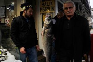 Karadeniz'de 5 kiloluk levrek yakalandı