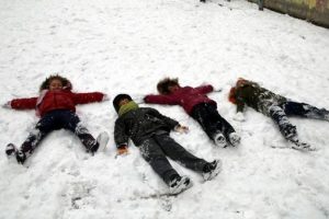 Van, Giresun, Rize ve Artvin'de okullar tatil