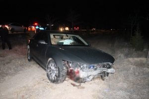 Belediye Başkanının makam aracı domuz s&uuml;r&uuml;s&uuml;ne &ccedil;arptı