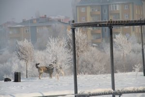Ardahan buz tuttu: Termometreler eksi 32'yi g&ouml;sterdi