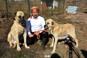 Sınırda Mehmet&ccedil;iğin can dostu olacaklar