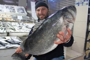 Karadeniz'de 8 kiloluk levrek yakalandı
