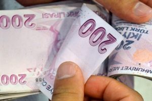 DEİK'ten T&uuml;rk Lirasına destek