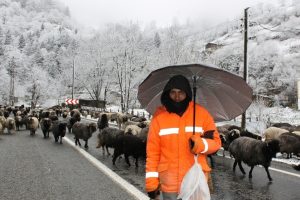 Rize'de 194 k&ouml;y yolu ulaşıma kapandı