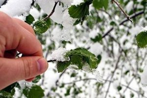 Meteorolojiden 4 il i&ccedil;in zirai don uyarısı