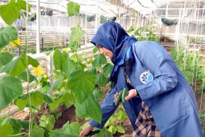 Bursa'da &ouml;ğrencilerin yetiştirdiği bitkiler kamp&uuml;ste satılıyor