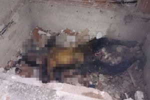 İstanbul'da bulunan yanmış cesedin kimliği belirlendi