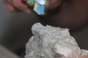 Bilim adamları 255 milyon yıllık fosilde ur buldu