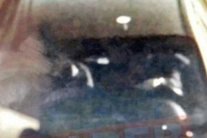 Bombalı ara&ccedil;taki hain ter&ouml;rist kadın &ccedil;ıktı!