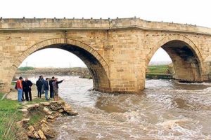 Nehirden su değil zehir akıyor!