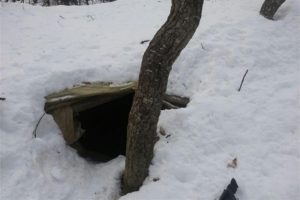 Tunceli'de PKK'ya ağır darbe