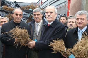 Bursa'da 341 &ccedil;ift&ccedil;iye ahududu fidanı dağıtıldı