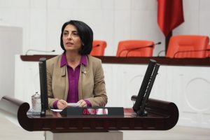 CHP Bursa Milletvekili Kayışoğlu: Teklif b&ouml;lgesel y&ouml;netimler kurma hakkı veriyor