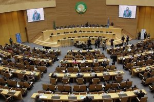 Afrika Birliği, BM'den veto hakkı istiyor