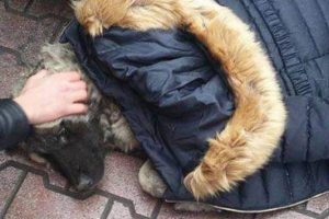 Konya'da 'insanlık &ouml;lmemiş' dedirten g&ouml;r&uuml;nt&uuml;