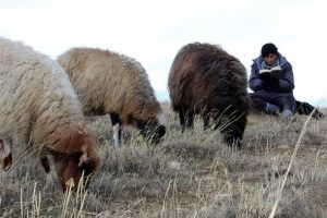'&Ccedil;ocuk &ccedil;obanlar' hayalleri i&ccedil;in ders &ccedil;alışıyor