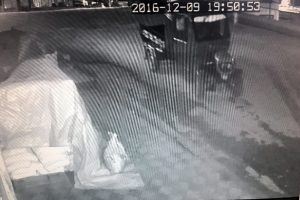 Pat-pat hırsızları kameraya yakalandı