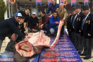 Ekmek arası k&ouml;pekbalığı yapıp dağıttılar!