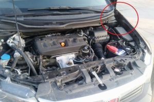 Bursa'da motora saklanan kedi kilometrelerce dolaştı