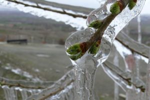 Meteorolojiden 5 il i&ccedil;in buzlanma ve don uyarısı