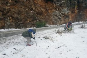 Manavgat'a 15 yıl sonra kar yağdı