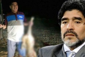 Maradona hayranlarını şoke etti!