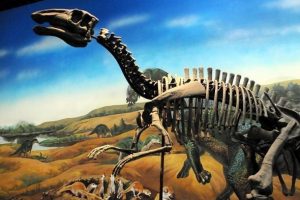 Bilim adamları diş d&ouml;ken dinozor t&uuml;r&uuml; keşfetti