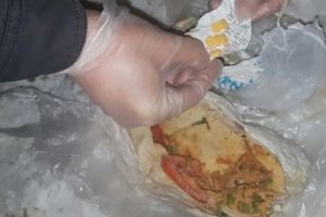 Tavuk d&uuml;r&uuml;mden bonzai &ccedil;ıktı